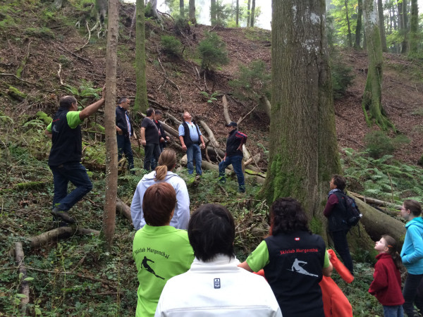 gemuetlicher waldgang 4 20141004 1775934595