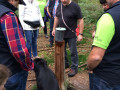 gemuetlicher waldgang 6 20141004 1496251514