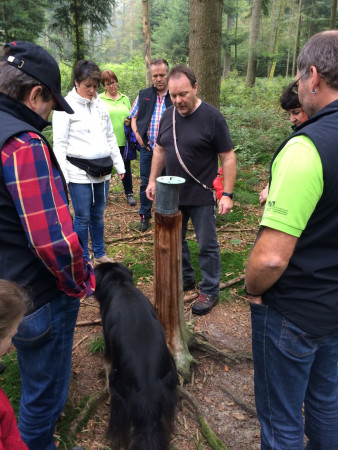 gemuetlicher waldgang 6 20141004 1496251514