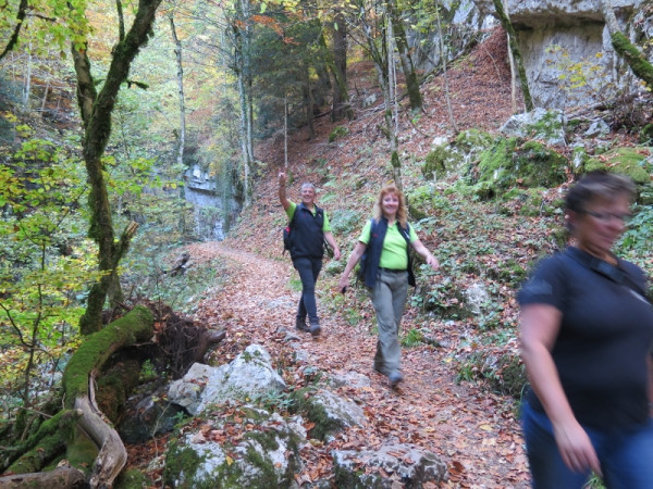 herbstwanderung 2017 8 20171204 2019377174