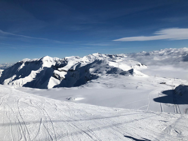 flims laax 2 20190125 1519706256