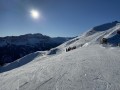 IMG 7894