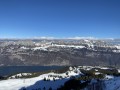IMG 7904