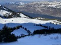 IMG 7906