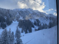 IMG 0230