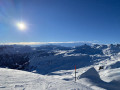 IMG 0241