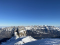 IMG 0243