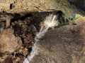 IMG 9858