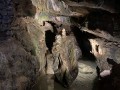 IMG 9860