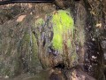 IMG 9863
