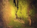 IMG 9864