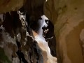 IMG 9869