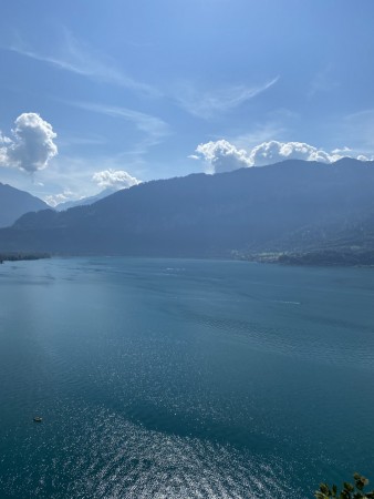 IMG 9881