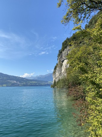 IMG 9883