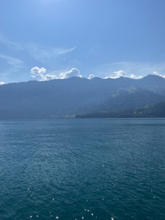IMG 9884