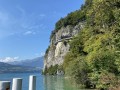 IMG 9886