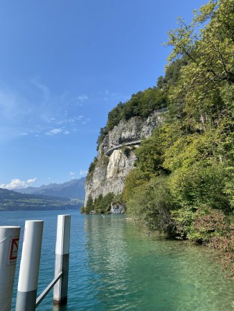 IMG 9886