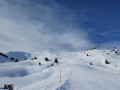 IMG 0058