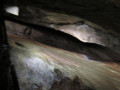 IMG 9536