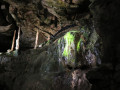 IMG 9542