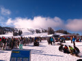 IMG 0076
