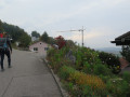 IMG 0554