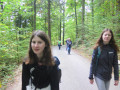 IMG 0565