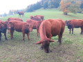 IMG 0580