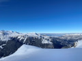 grindelwald1