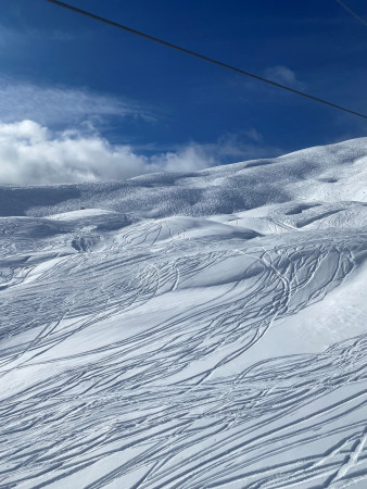 grindelwald10