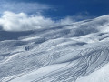 grindelwald11