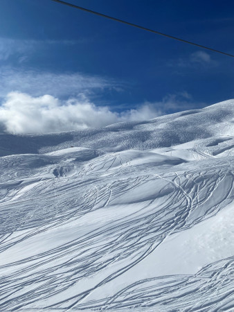 grindelwald11