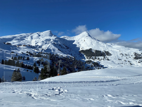 grindelwald3