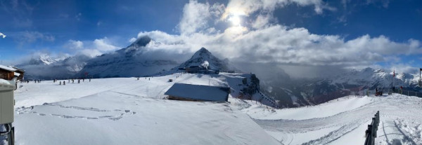grindelwald33