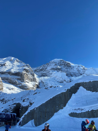 grindelwald6