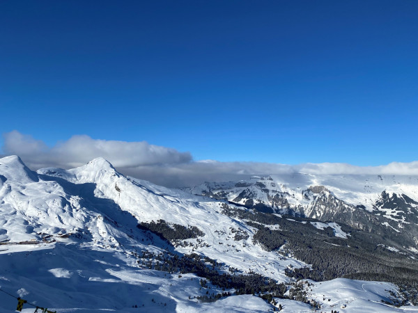 grindelwald8