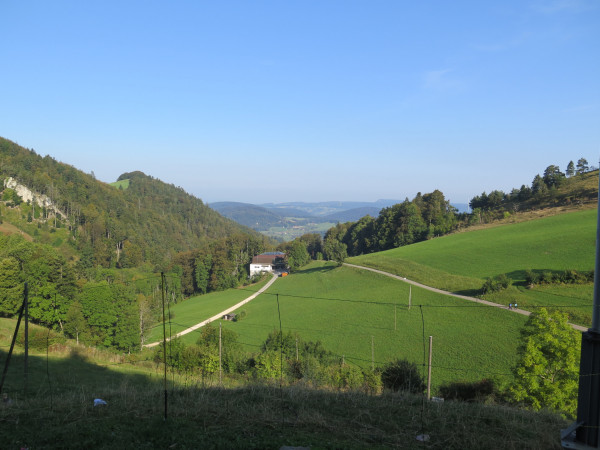 herbstwanderung 2016 7 20161120 1424863380