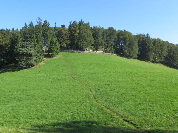 herbswanderung 2016 4 20161120 1202405076