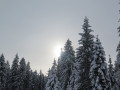 skiweekend lax 5 20180124 1099842902