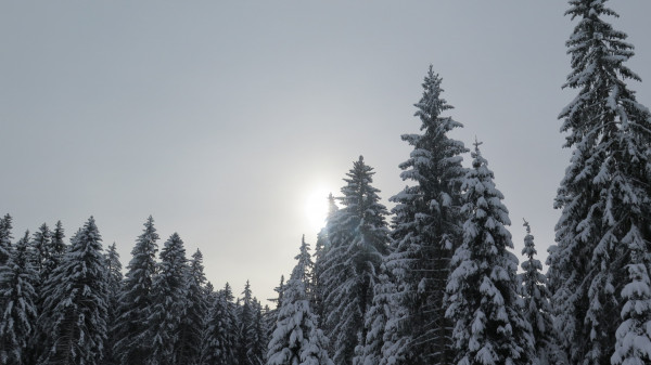 skiweekend lax 5 20180124 1099842902