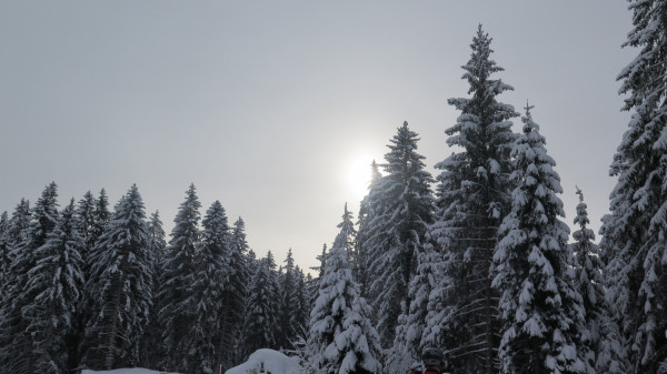 skiweekend lax 6 20180124 1616615933