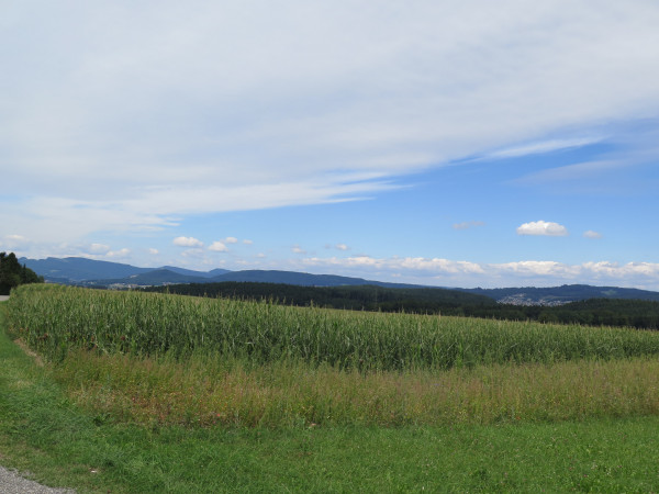 velotour 2017 5 20171204 1709857359