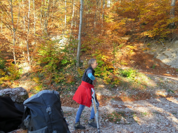 herbstwanderung 2017 2 20171204 2053096377