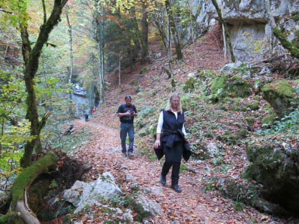 herbstwanderung 2017 4 20171204 1952704460