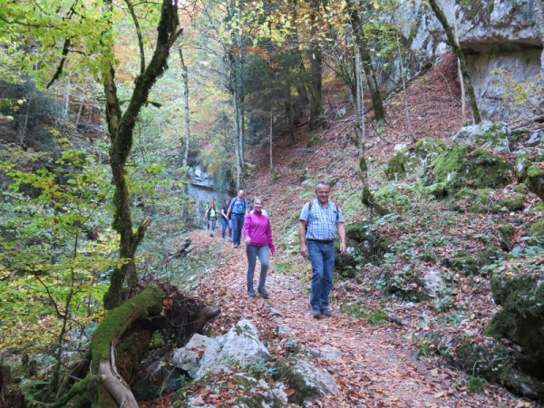 herbstwanderung 2017 5 20171204 1861511975