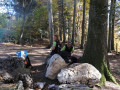 herbstwanderung 2017 6 20171204 1197484287
