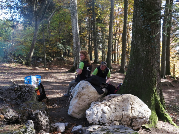 herbstwanderung 2017 6 20171204 1197484287
