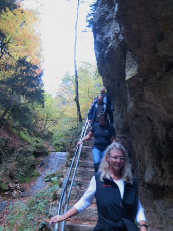 herbstwanderung 2017 6 20171204 1661087385