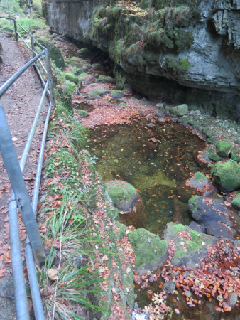 herbstwanderung 2017 7 20171204 1246247217